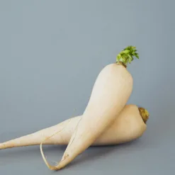 PureTurnip White Tuber