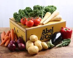 Organic Seasonal Veg Box (Small)