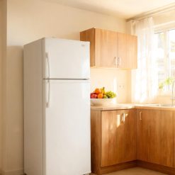 Eco-Inverter Cooling Fridge